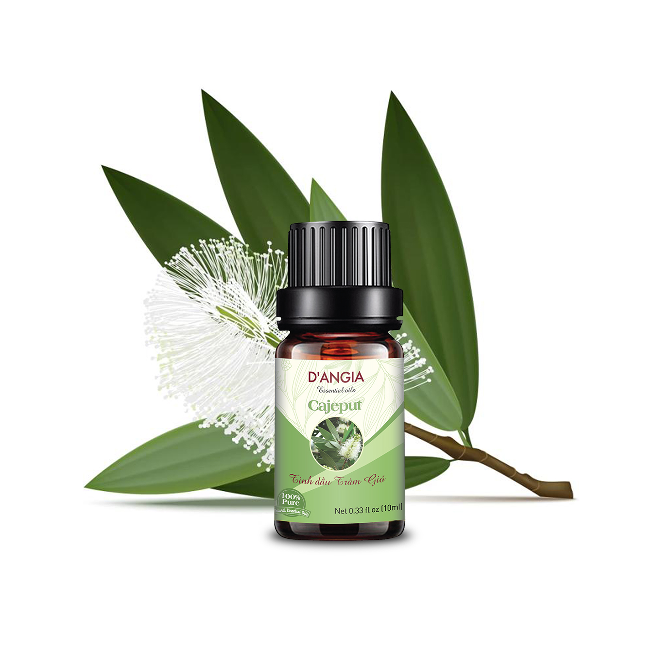 Tinh dầu Tràm Gió